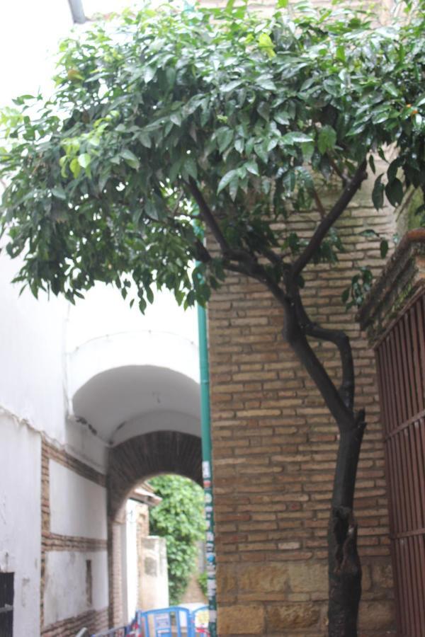 Appartamento Loft Turistico En Casco Historico, Wifi Y Tv Satelite Gratis Cordova Esterno foto